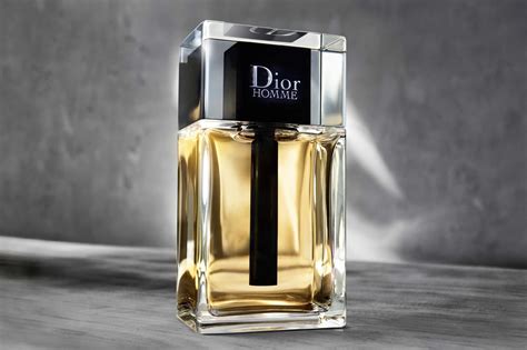 l homme dior